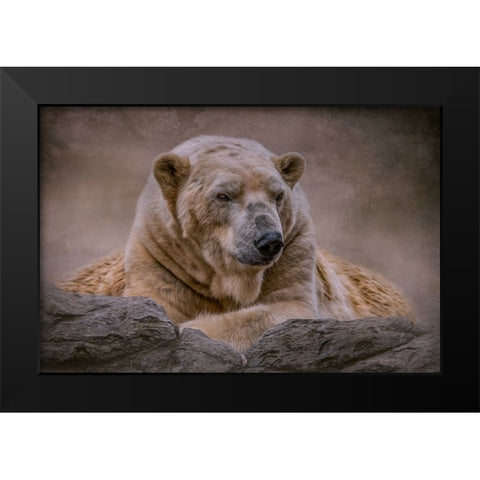 A Bears Life Black Modern Wood Framed Art Print by Parker, Kelley