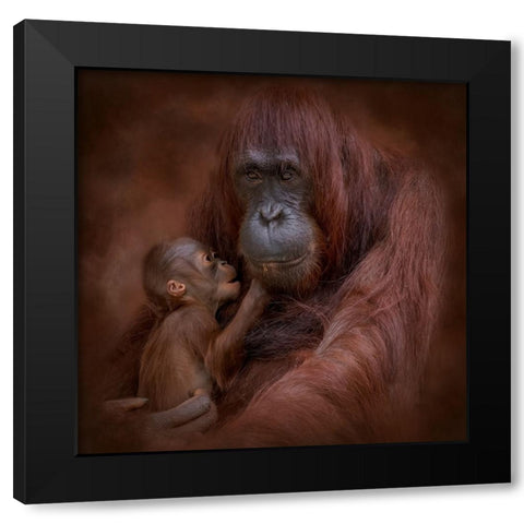 A Mothers Love Black Modern Wood Framed Art Print by Parker, Kelley