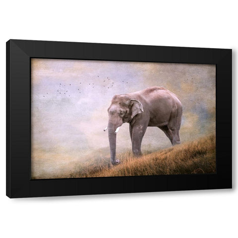 Silent Traveler Black Modern Wood Framed Art Print by Parker, Kelley