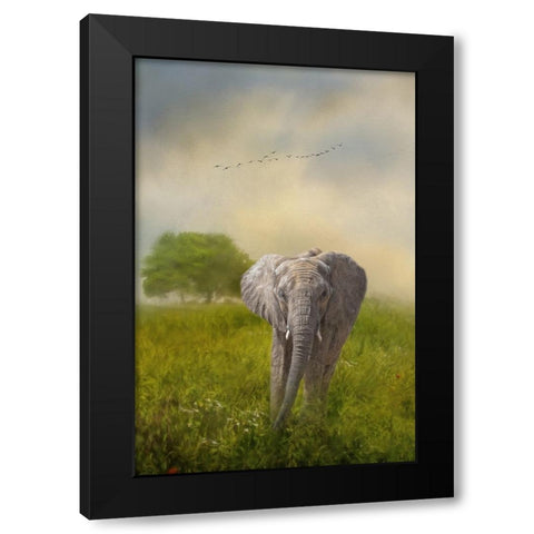 Solo Approach Black Modern Wood Framed Art Print with Double Matting by Parker, Kelley