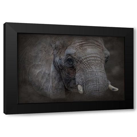 Textured Black Modern Wood Framed Art Print by Parker, Kelley