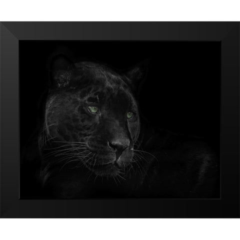 Green Eyed Beauty Black Modern Wood Framed Art Print by Parker, Kelley