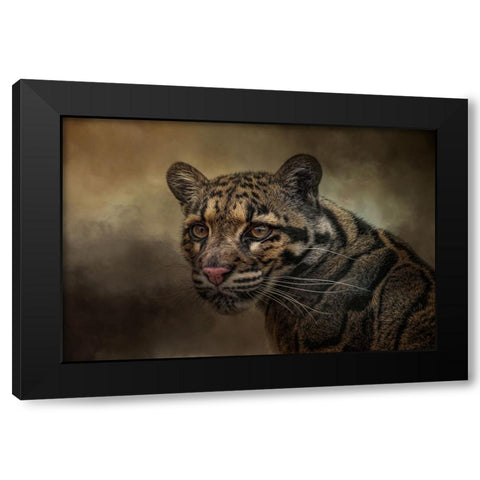 Locked On Black Modern Wood Framed Art Print by Parker, Kelley