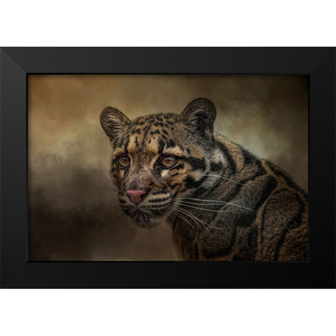 Locked On Black Modern Wood Framed Art Print by Parker, Kelley