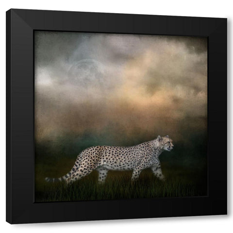 Night Search Black Modern Wood Framed Art Print with Double Matting by Parker, Kelley