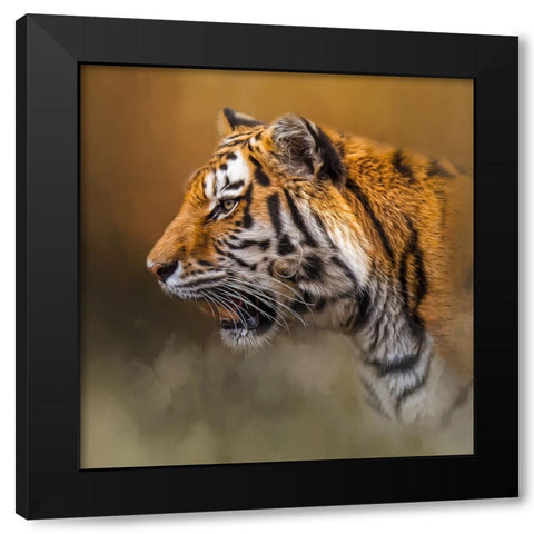 The Watchful Stare Black Modern Wood Framed Art Print with Double Matting by Parker, Kelley