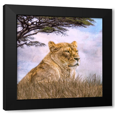 Pride of Place Black Modern Wood Framed Art Print by Parker, Kelley
