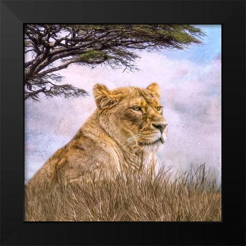 Pride of Place Black Modern Wood Framed Art Print by Parker, Kelley