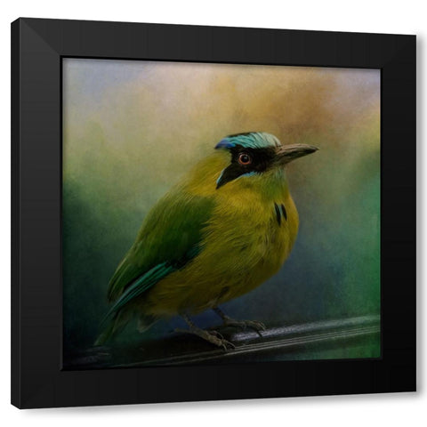 Colorful Charmer Black Modern Wood Framed Art Print by Parker, Kelley