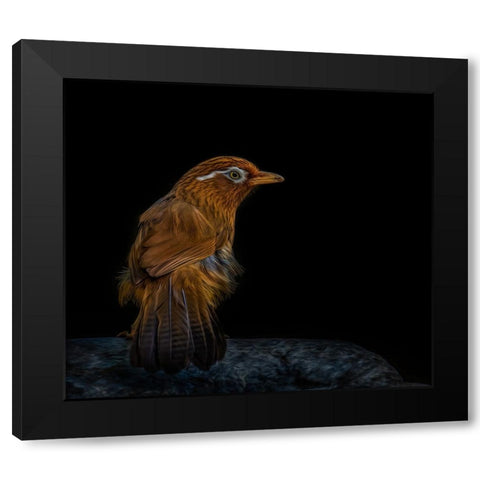 Painted Eyebrow Black Modern Wood Framed Art Print with Double Matting by Parker, Kelley