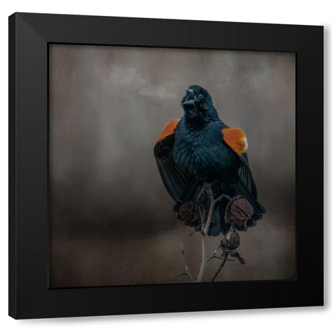 Bird Breath Black Modern Wood Framed Art Print by Parker, Kelley
