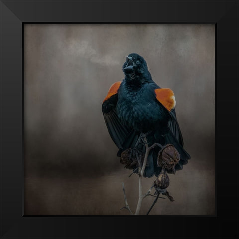 Bird Breath Black Modern Wood Framed Art Print by Parker, Kelley