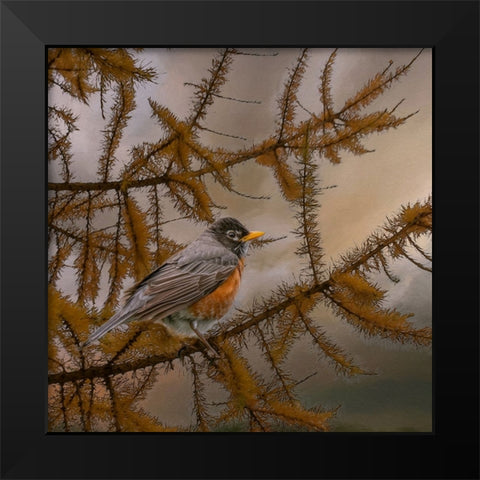 Early Bird Black Modern Wood Framed Art Print by Parker, Kelley