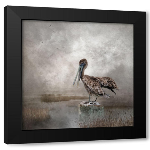 Visitor to the Marshes Black Modern Wood Framed Art Print with Double Matting by Parker, Kelley