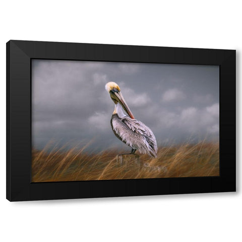 Pelican Way Black Modern Wood Framed Art Print by Parker, Kelley