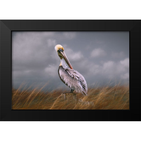 Pelican Way Black Modern Wood Framed Art Print by Parker, Kelley