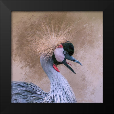 Crowned Black Modern Wood Framed Art Print by Parker, Kelley