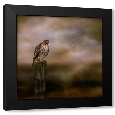 Bold Hunter Black Modern Wood Framed Art Print by Parker, Kelley