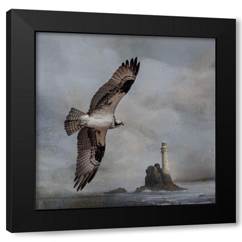 Fly By Black Modern Wood Framed Art Print by Parker, Kelley