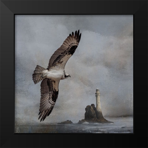 Fly By Black Modern Wood Framed Art Print by Parker, Kelley