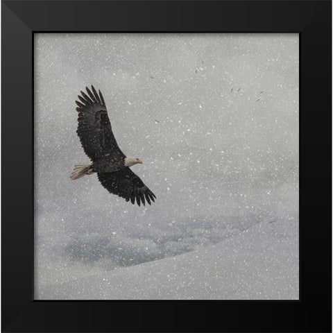 Peace on Earth Black Modern Wood Framed Art Print by Parker, Kelley