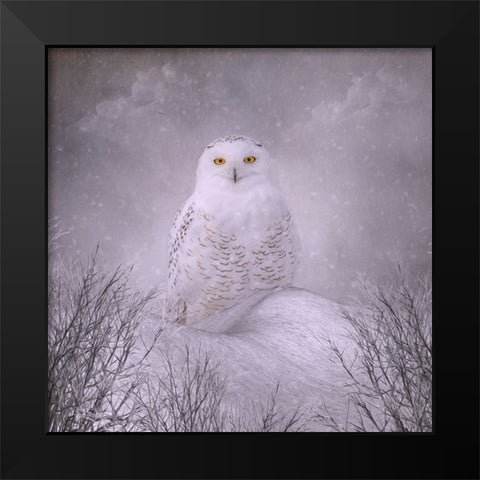 Winter Wonderland Black Modern Wood Framed Art Print by Parker, Kelley