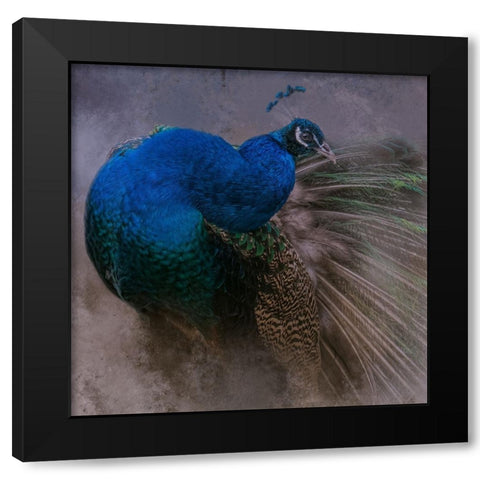 Natural Beauty Black Modern Wood Framed Art Print by Parker, Kelley