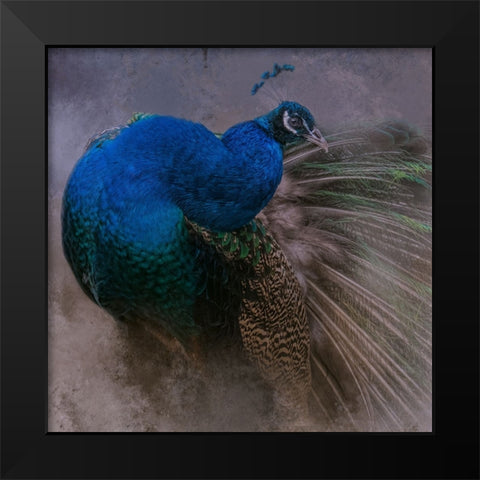 Natural Beauty Black Modern Wood Framed Art Print by Parker, Kelley