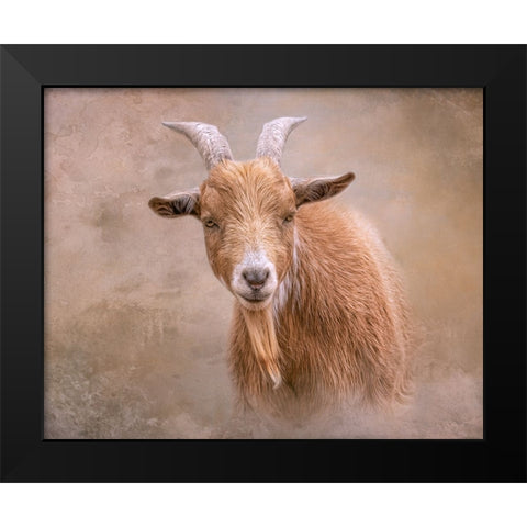 Goat Goodness Black Modern Wood Framed Art Print by Parker, Kelley