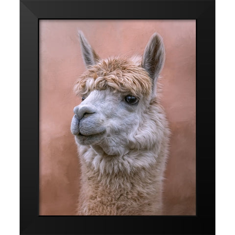 Sweetness Black Modern Wood Framed Art Print by Parker, Kelley