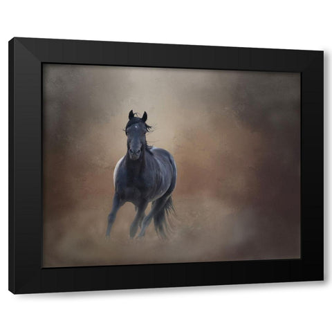 Knighthawk - S Steens Wild Stallion Black Modern Wood Framed Art Print with Double Matting by McFerrin, Larry