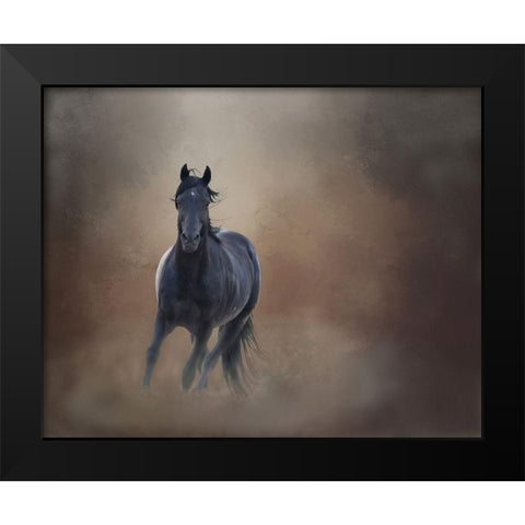 Knighthawk - S Steens Wild Stallion Black Modern Wood Framed Art Print by McFerrin, Larry