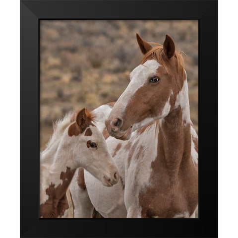Gypsy and Sentinel - S Steens Wild Mustangs Black Modern Wood Framed Art Print by McFerrin, Larry