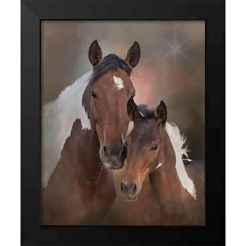 Smore and Chippewa - S Steens Mustangs Black Modern Wood Framed Art Print by McFerrin, Larry
