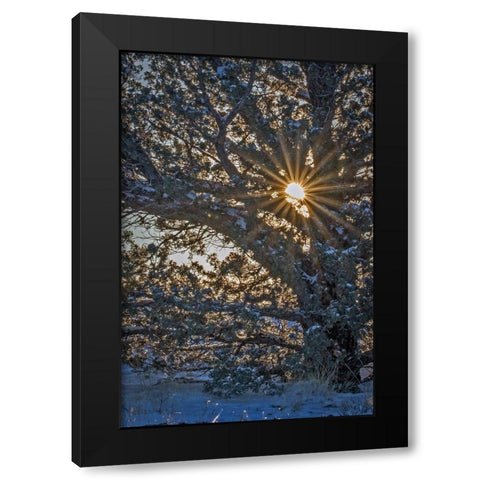 New Years Steens Mountain Sunrise Black Modern Wood Framed Art Print with Double Matting by McFerrin, Larry