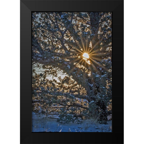 New Years Steens Mountain Sunrise Black Modern Wood Framed Art Print by McFerrin, Larry