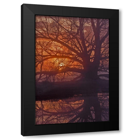 Foggy Sunrise Black Modern Wood Framed Art Print by McFerrin, Larry