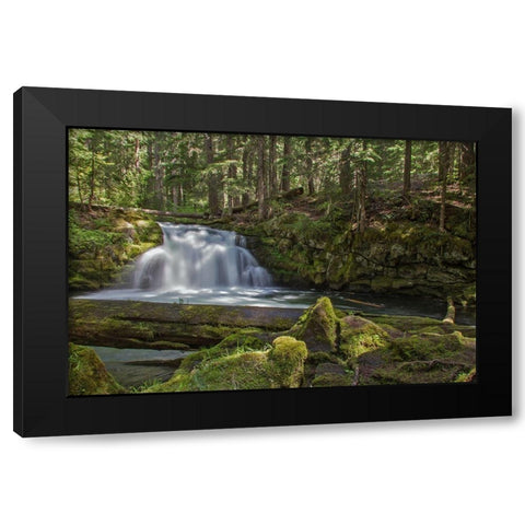 Whitehorse Falls Black Modern Wood Framed Art Print by McFerrin, Larry