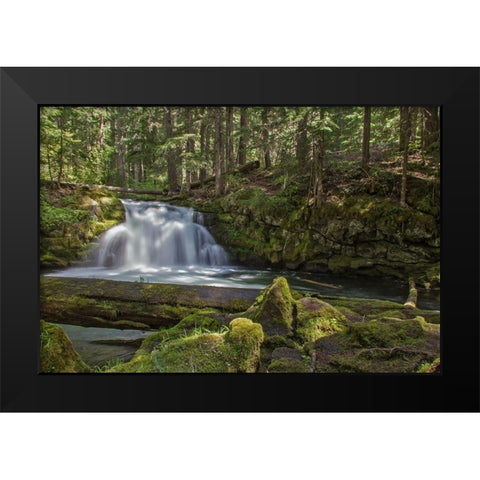 Whitehorse Falls Black Modern Wood Framed Art Print by McFerrin, Larry