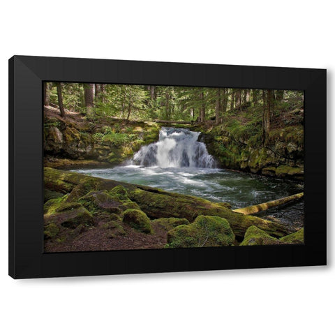 Whitehorse Falls Black Modern Wood Framed Art Print by McFerrin, Larry