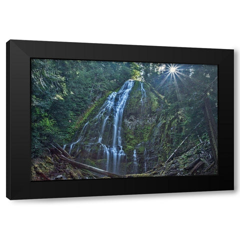 Lower Proxy Falls Black Modern Wood Framed Art Print by McFerrin, Larry