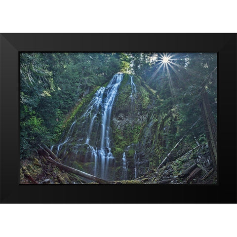 Lower Proxy Falls Black Modern Wood Framed Art Print by McFerrin, Larry