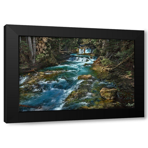 McKensie River Black Modern Wood Framed Art Print by McFerrin, Larry