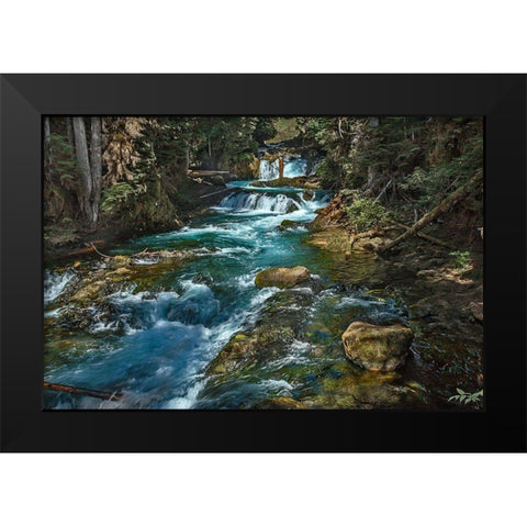 McKensie River Black Modern Wood Framed Art Print by McFerrin, Larry