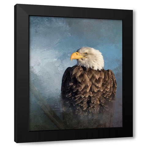 Bald Eagle Black Modern Wood Framed Art Print with Double Matting by McFerrin, Larry