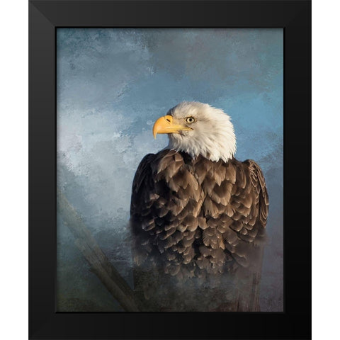 Bald Eagle Black Modern Wood Framed Art Print by McFerrin, Larry