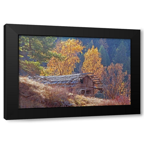 North Fork Cabin Black Modern Wood Framed Art Print with Double Matting by McFerrin, Larry