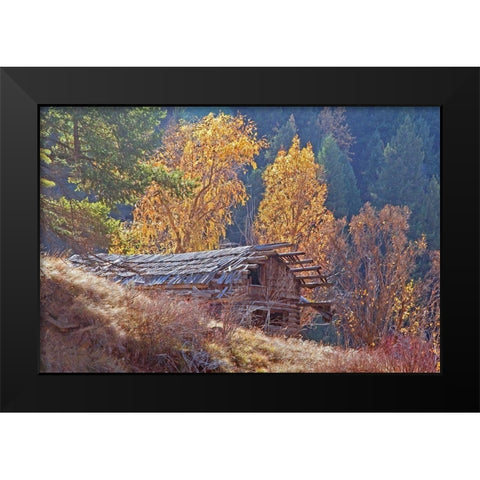North Fork Cabin Black Modern Wood Framed Art Print by McFerrin, Larry