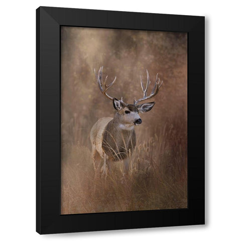 Muley - Malheur Black Modern Wood Framed Art Print by McFerrin, Larry