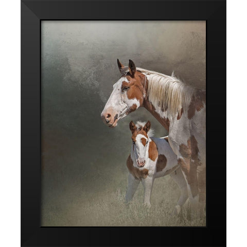 Chinook and Her Foal Black Modern Wood Framed Art Print by McFerrin, Larry